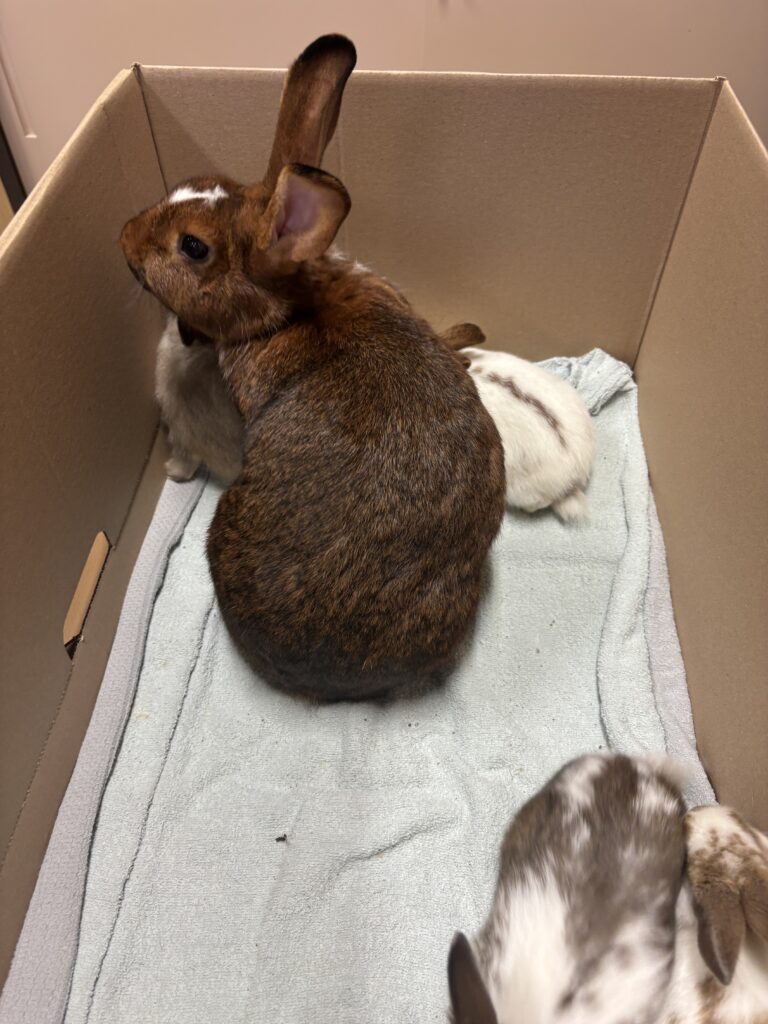 featured-image-galerij-item